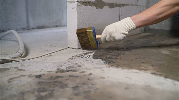 Top rated local Waterproofing specialists in Woodlawn, TN